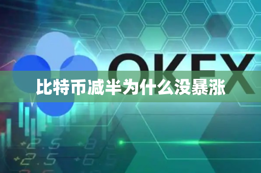 比特币减半为什么没暴涨