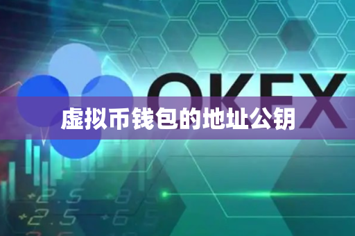 虚拟币钱包的地址公钥