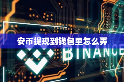 安币提现到钱包里怎么弄