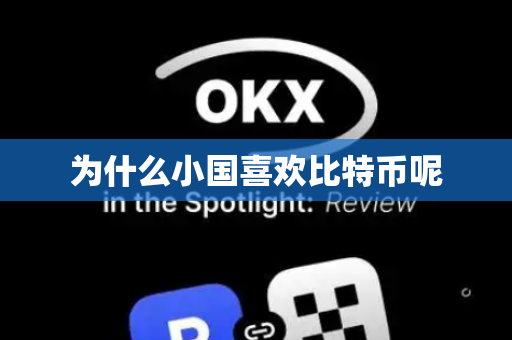 为什么小国喜欢比特币呢