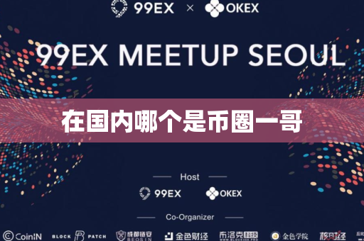 在国内哪个是币圈一哥