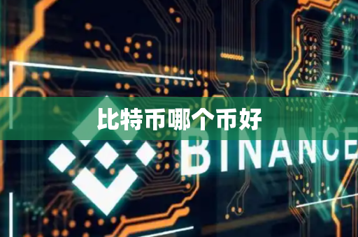 比特币哪个币好