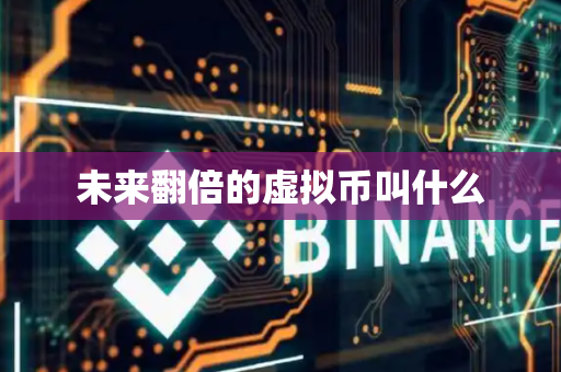 未来翻倍的虚拟币叫什么