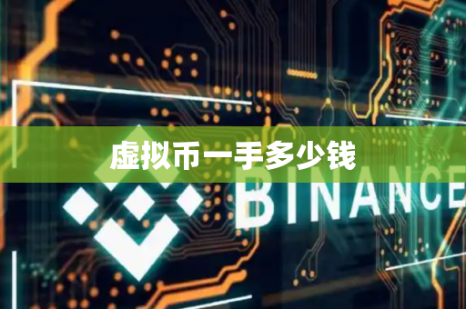 虚拟币一手多少钱