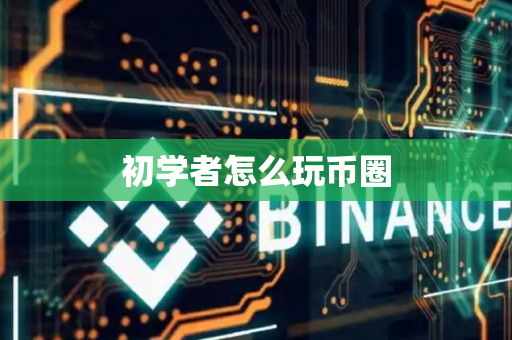 初学者怎么玩币圈