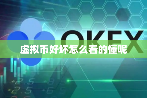 虚拟币好坏怎么看的懂呢