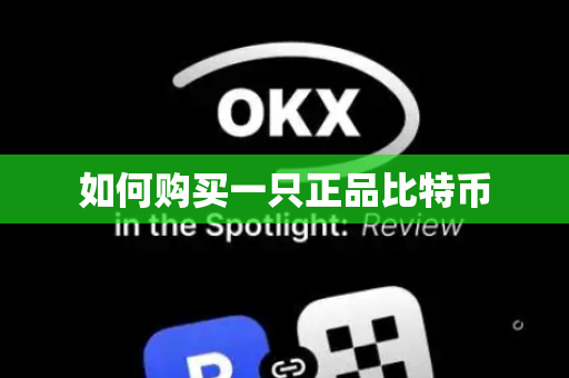 如何购买一只正品比特币