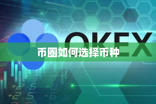币圈如何选择币种