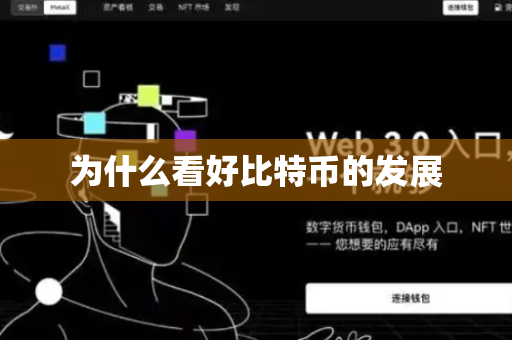 为什么看好比特币的发展