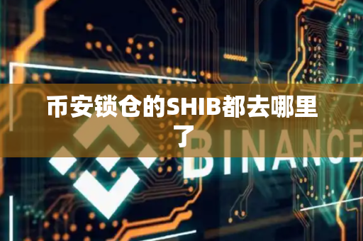 币安锁仓的SHIB都去哪里了