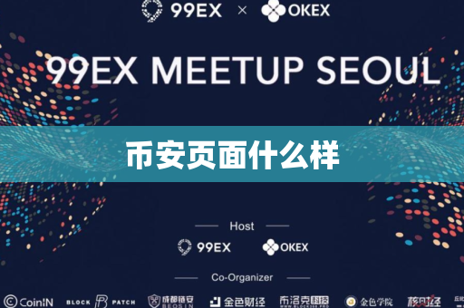 币安页面什么样