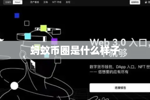 蚂蚁币圈是什么样子