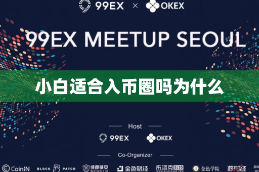 小白适合入币圈吗为什么