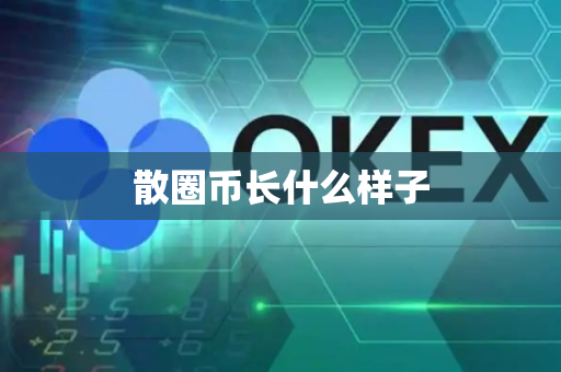 散圈币长什么样子