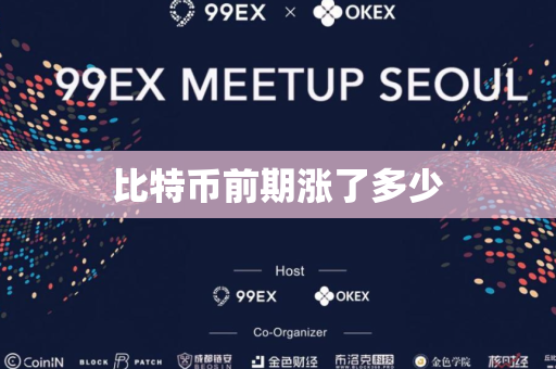 比特币前期涨了多少