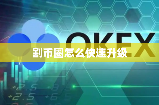 割币圈怎么快速升级