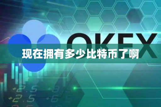 现在拥有多少比特币了啊