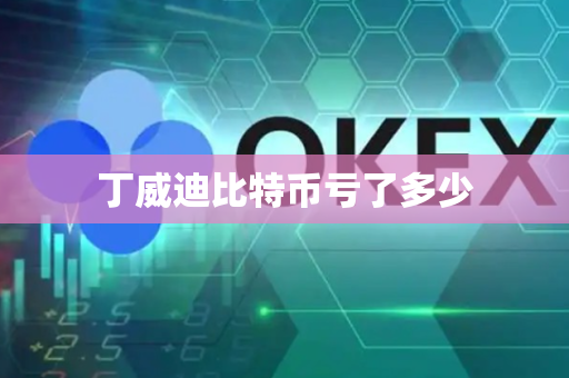 丁威迪比特币亏了多少
