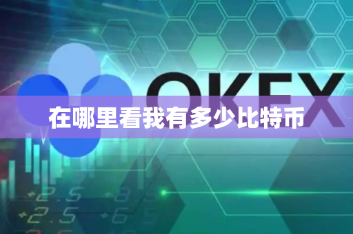 在哪里看我有多少比特币