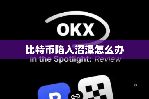 比特币陷入沼泽怎么办