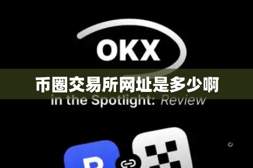 币圈交易所网址是多少啊