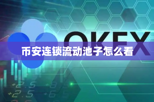 币安连锁流动池子怎么看
