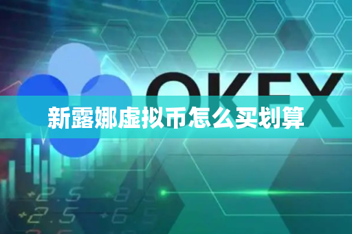 新露娜虚拟币怎么买划算