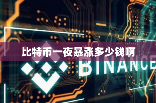 比特币一夜暴涨多少钱啊