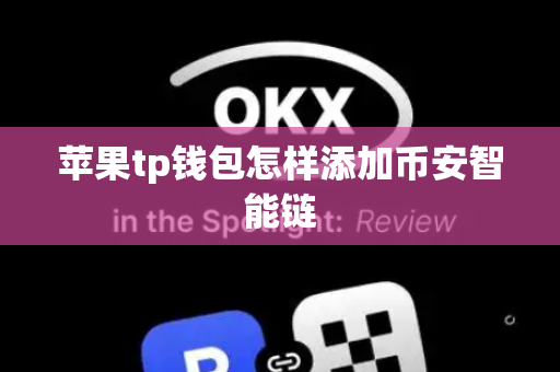苹果tp钱包怎样添加币安智能链