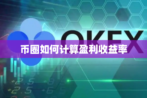 币圈如何计算盈利收益率