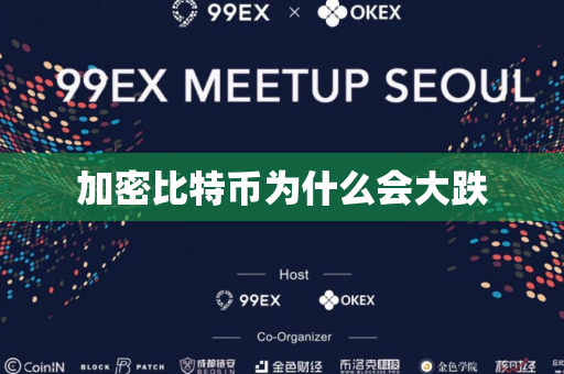 加密比特币为什么会大跌