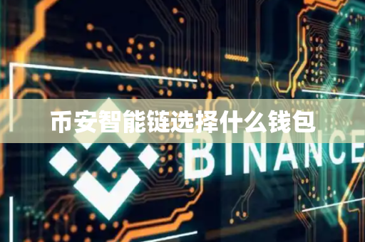 币安智能链选择什么钱包