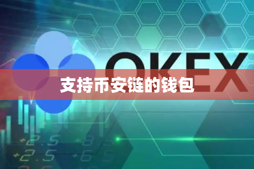 支持币安链的钱包