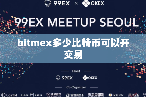 bitmex多少比特币可以开交易