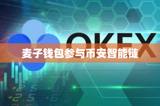 麦子钱包参与币安智能链