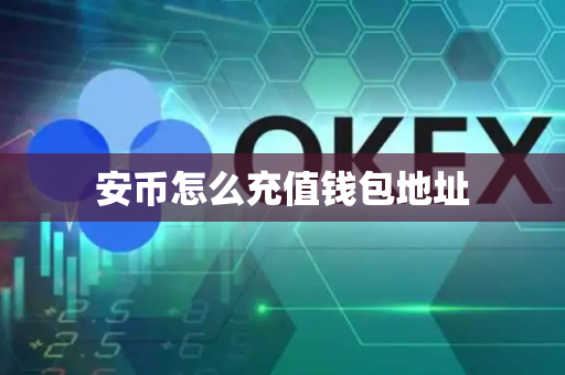 安币怎么充值钱包地址