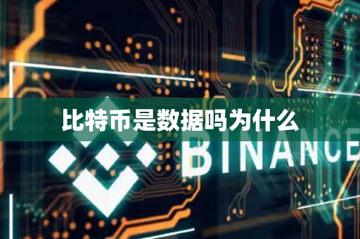 比特币是数据吗为什么