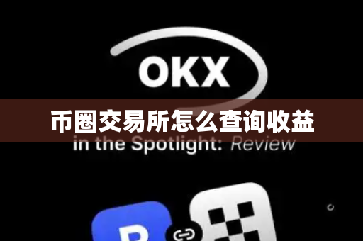 币圈交易所怎么查询收益